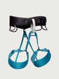 Momentum Harness