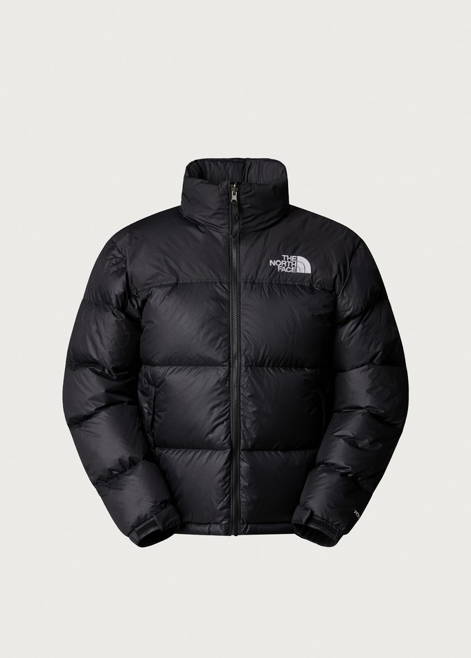 THE NORTH FACE / FREEDOM JACKET_フリーダムジャケッ ト/L/ポリエステル/PUP/無地 The North Face Freedom Insulated Jacket
