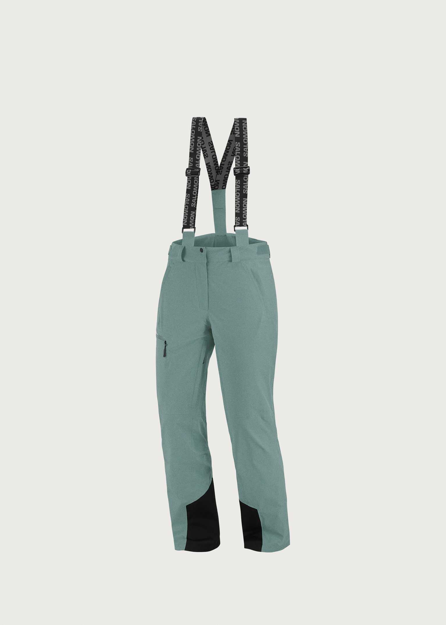 Salomon Brilliant Pants