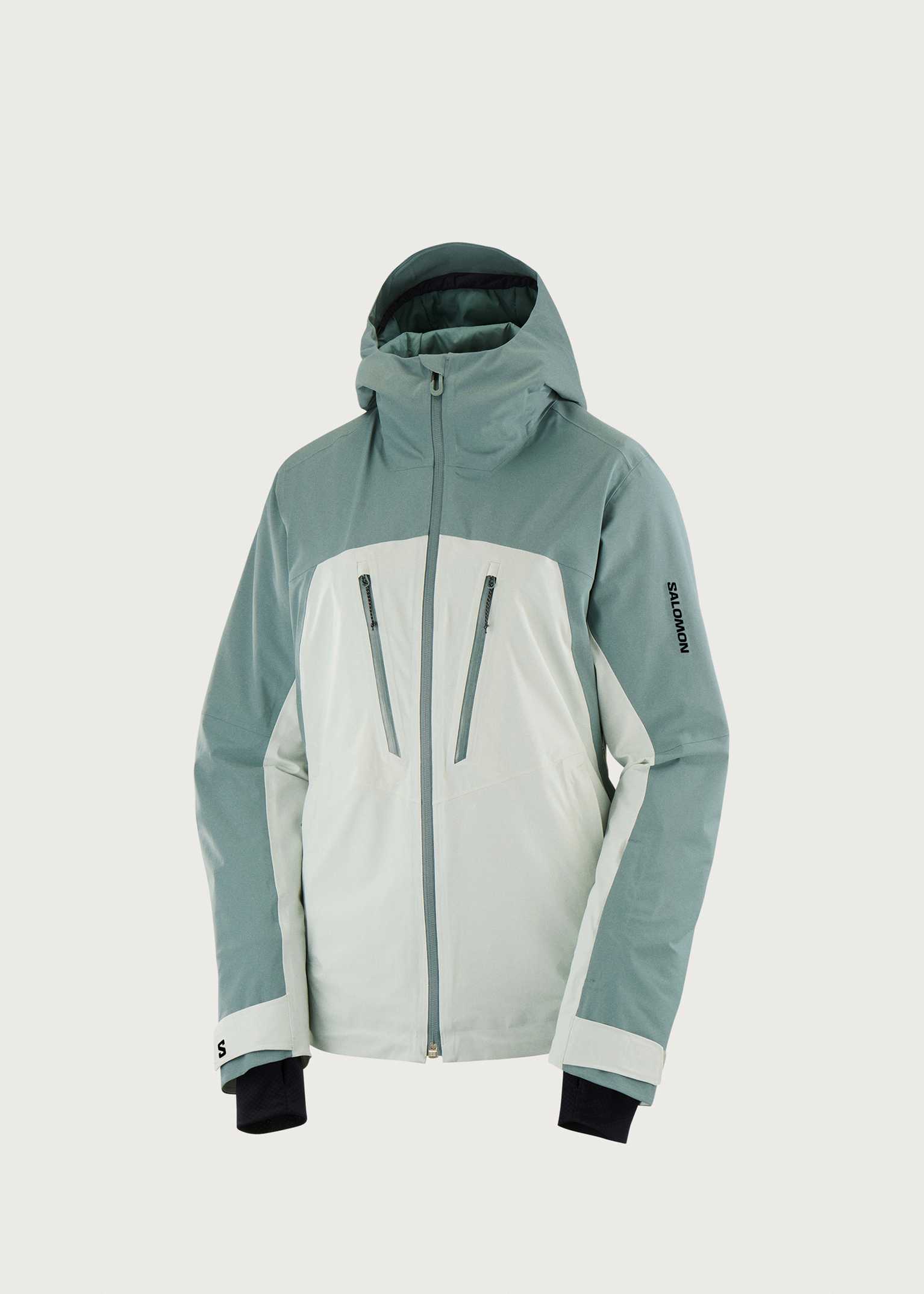 Salomon Brilliant Jacket