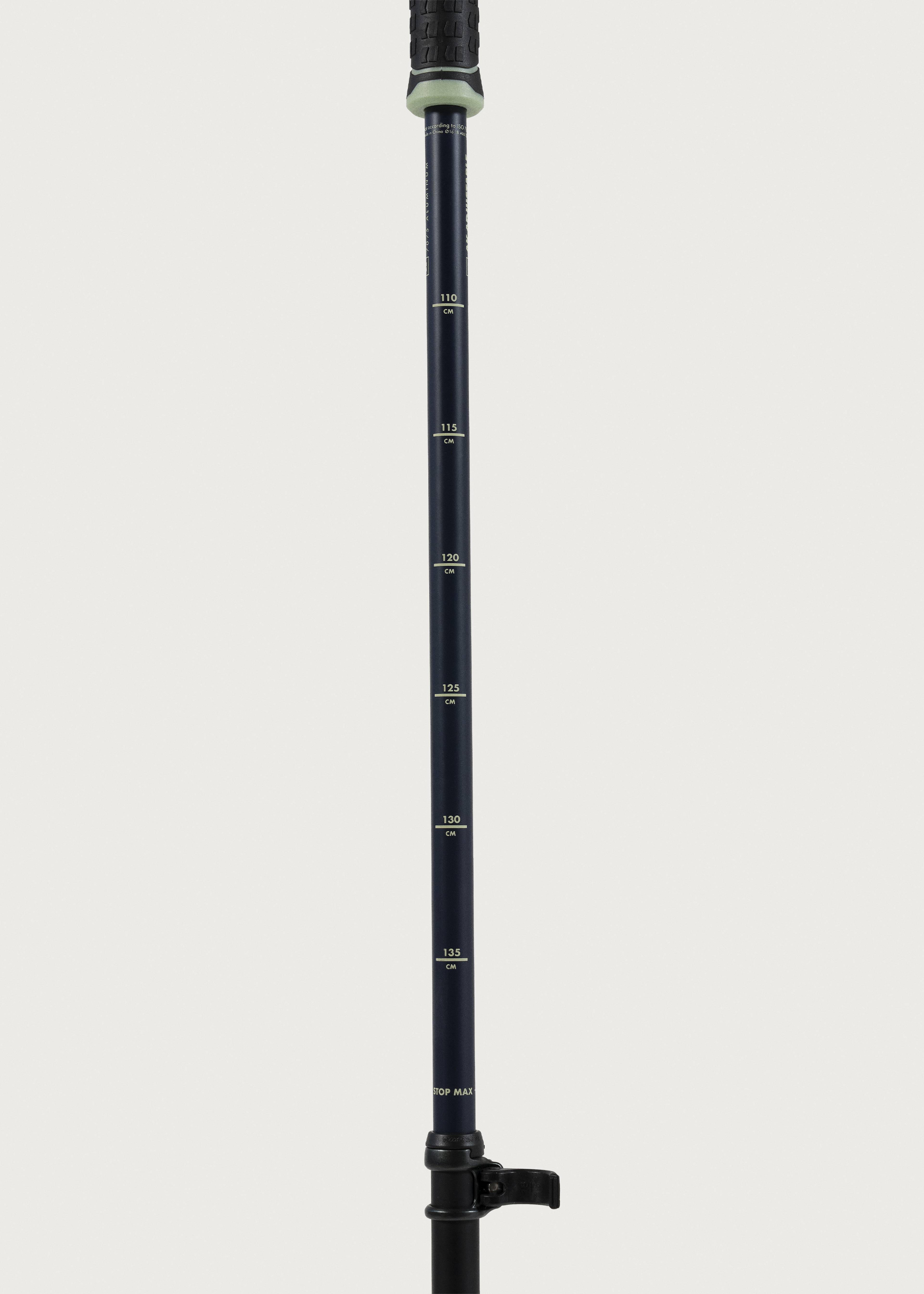 Armada AK Adjustable Ski Poles