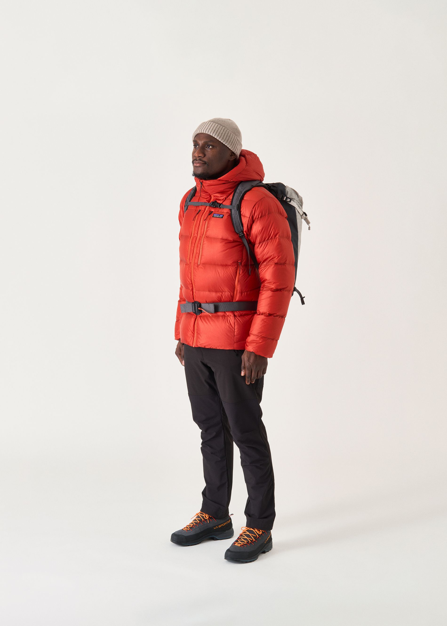 Patagonia Fitz Roy Down Hoodie