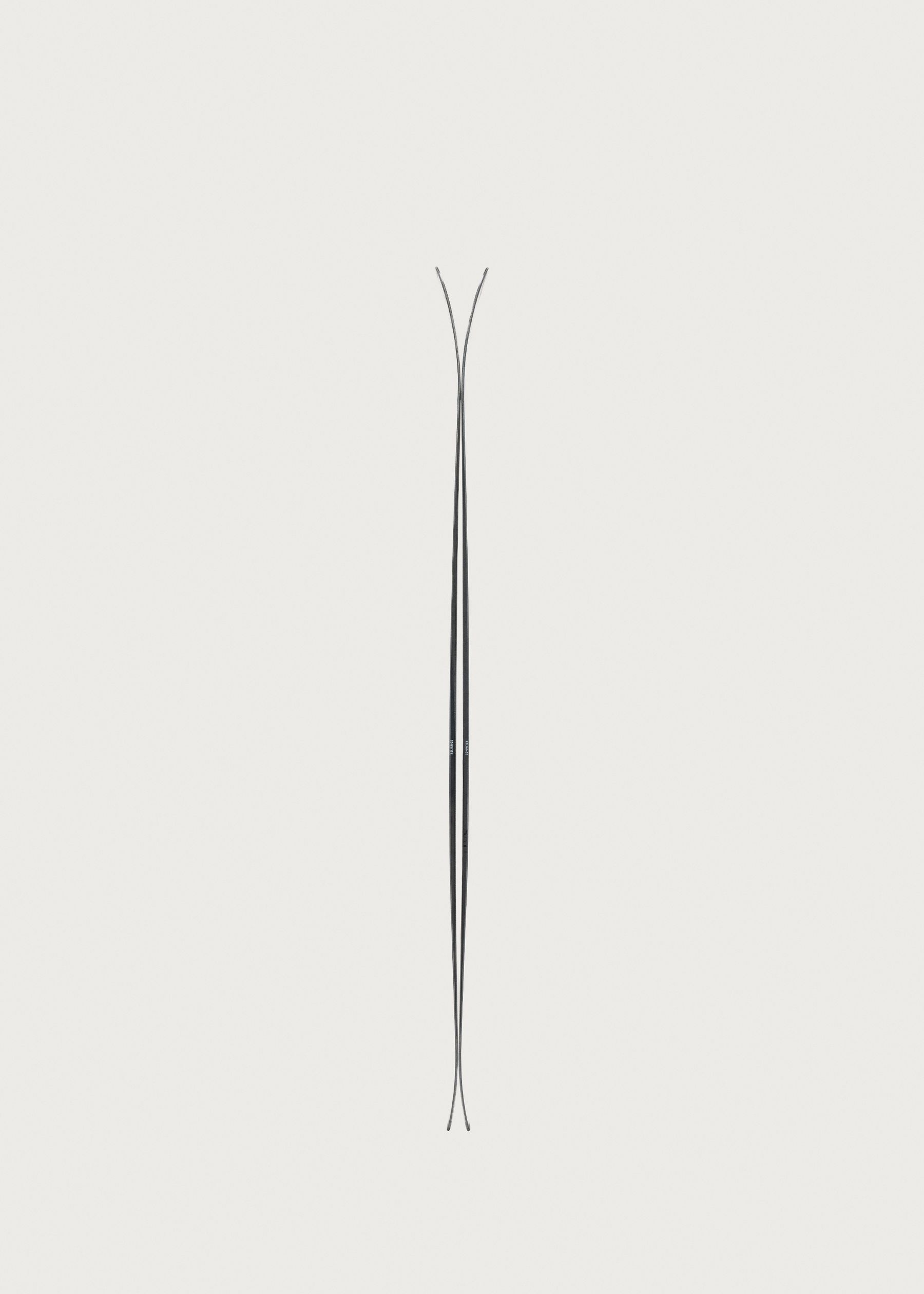 Image - 3 - Reliance 92 TI Skis