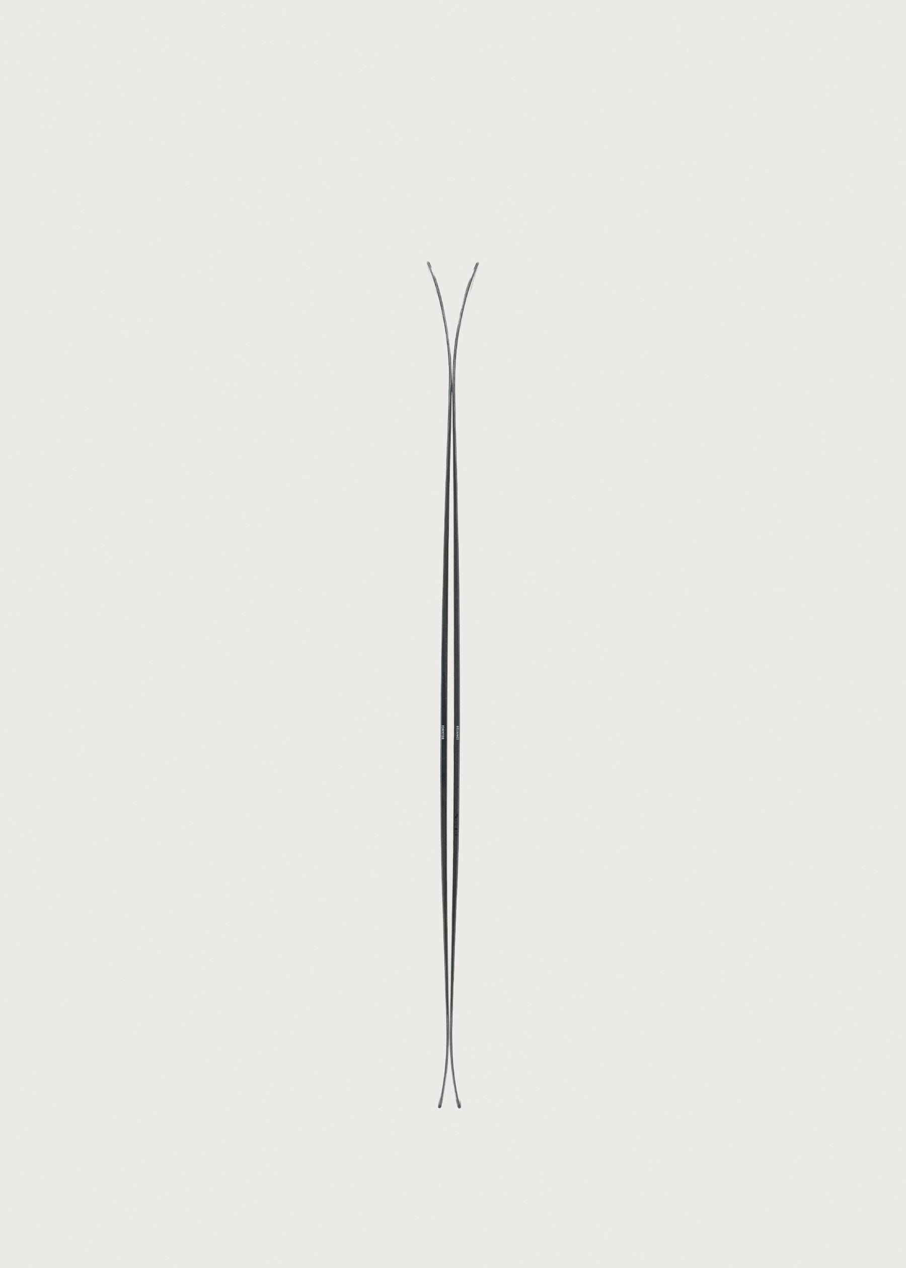 Image - 3 - Reliance 92 TI Skis