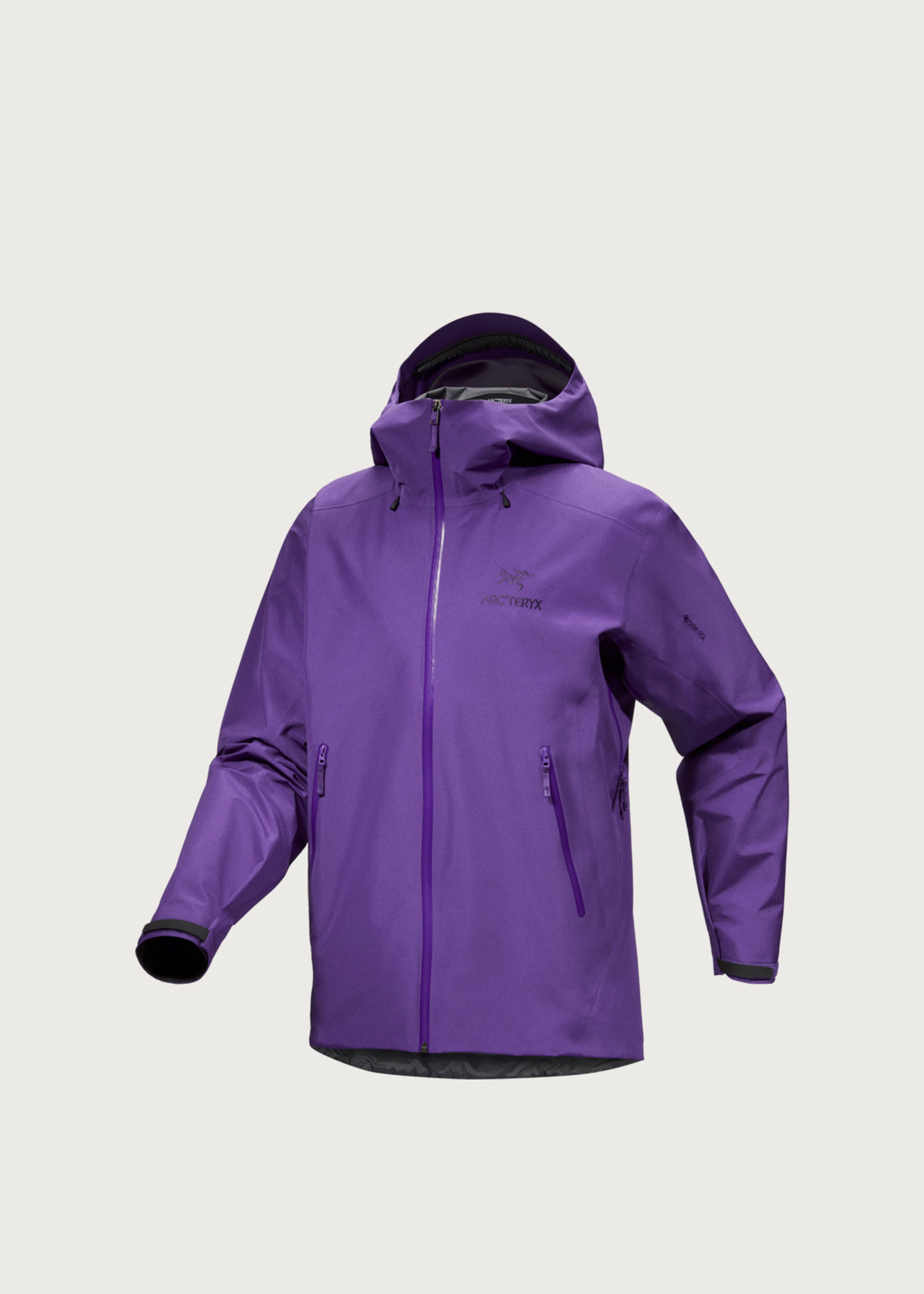 Arc'teryx Beta LT GORE-TEX Jacket