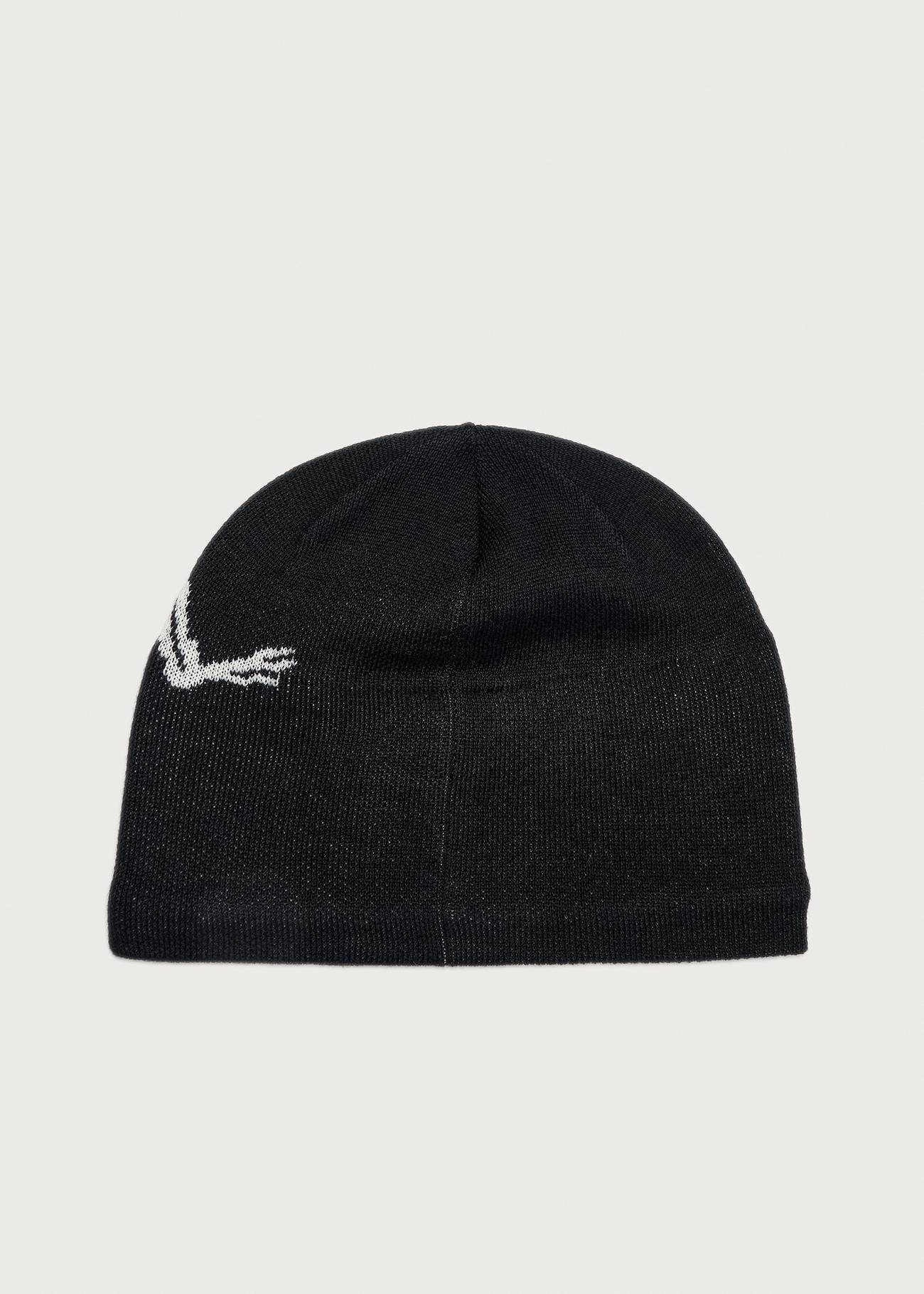 Arc'teryx Bird Head Toque