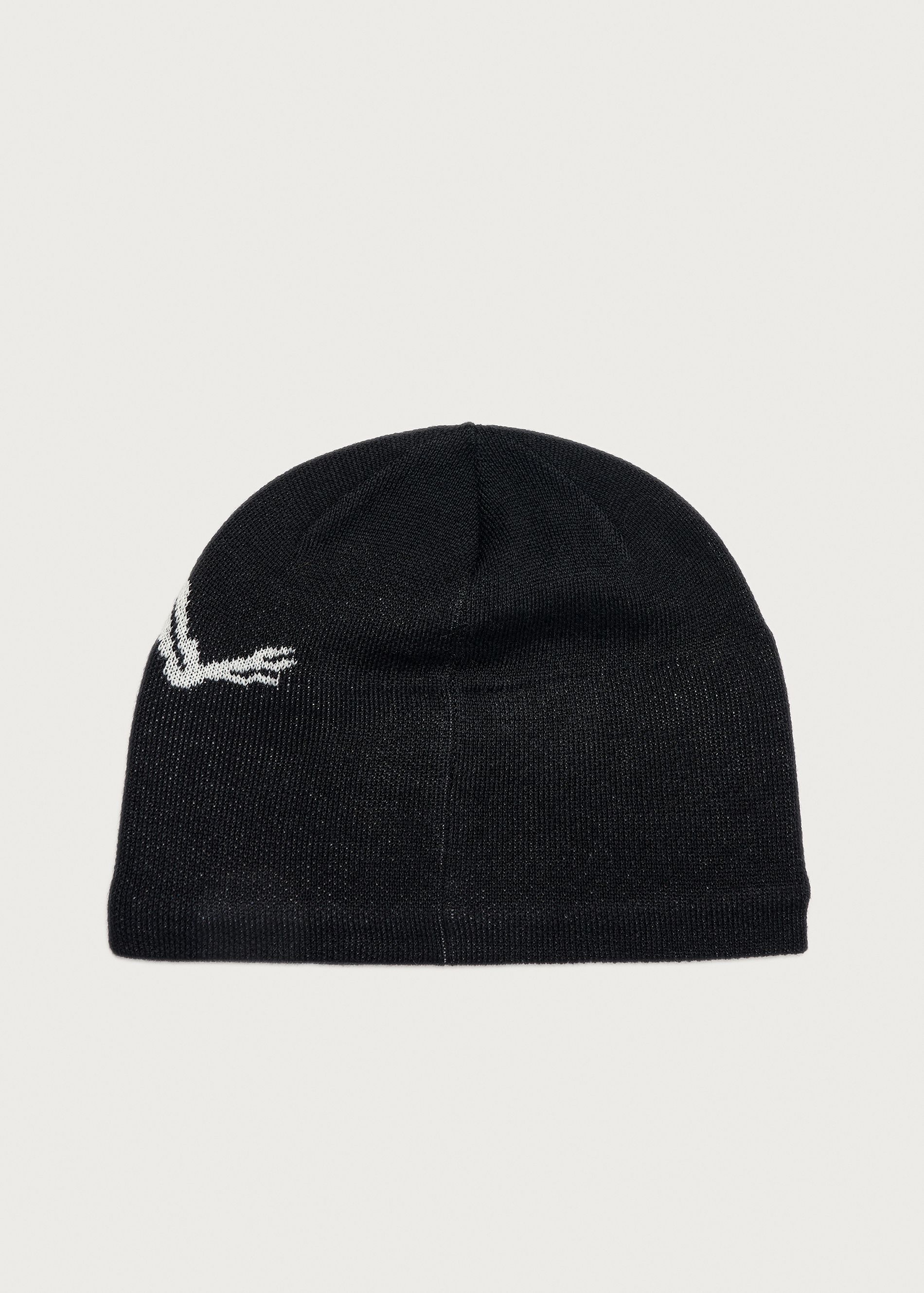 Arc'teryx Bird Head Toque