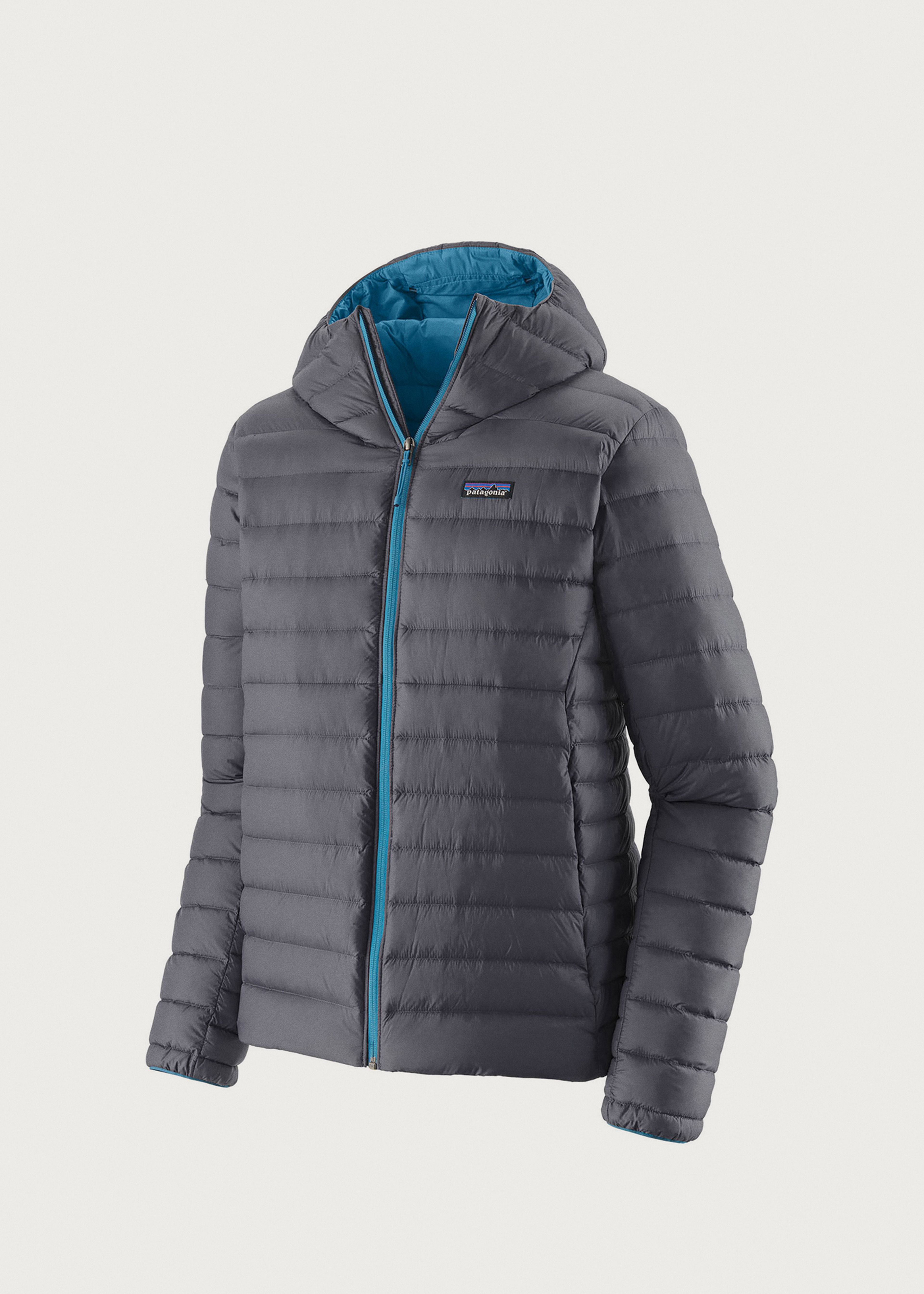 Patagonia Down Sweater Hoody