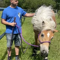 Bernhard Bodenmüller, BEd