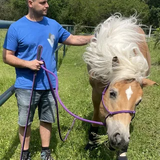Bernhard Bodenmüller, BEd