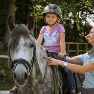 Stefanie    Gattringer