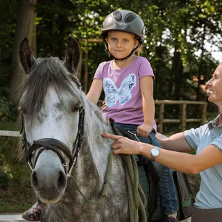 Stefanie    Gattringer