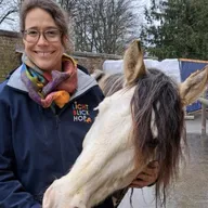 Mag.a. Dorothea  Haas