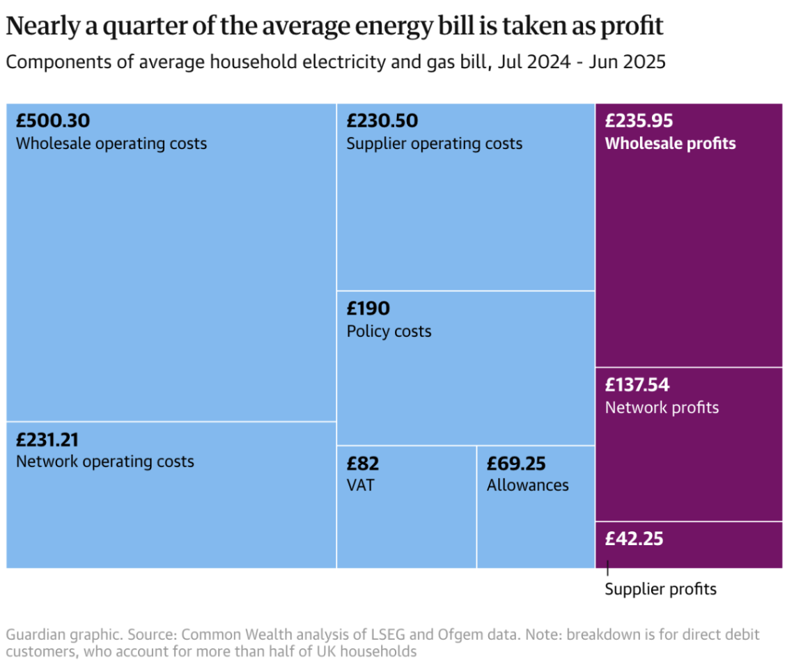 Infographic showing components of UK household energy bills (Jul 2024-Jun 2025): Costs include wholesale, network, policy; profits at 23.5%, VAT £82.