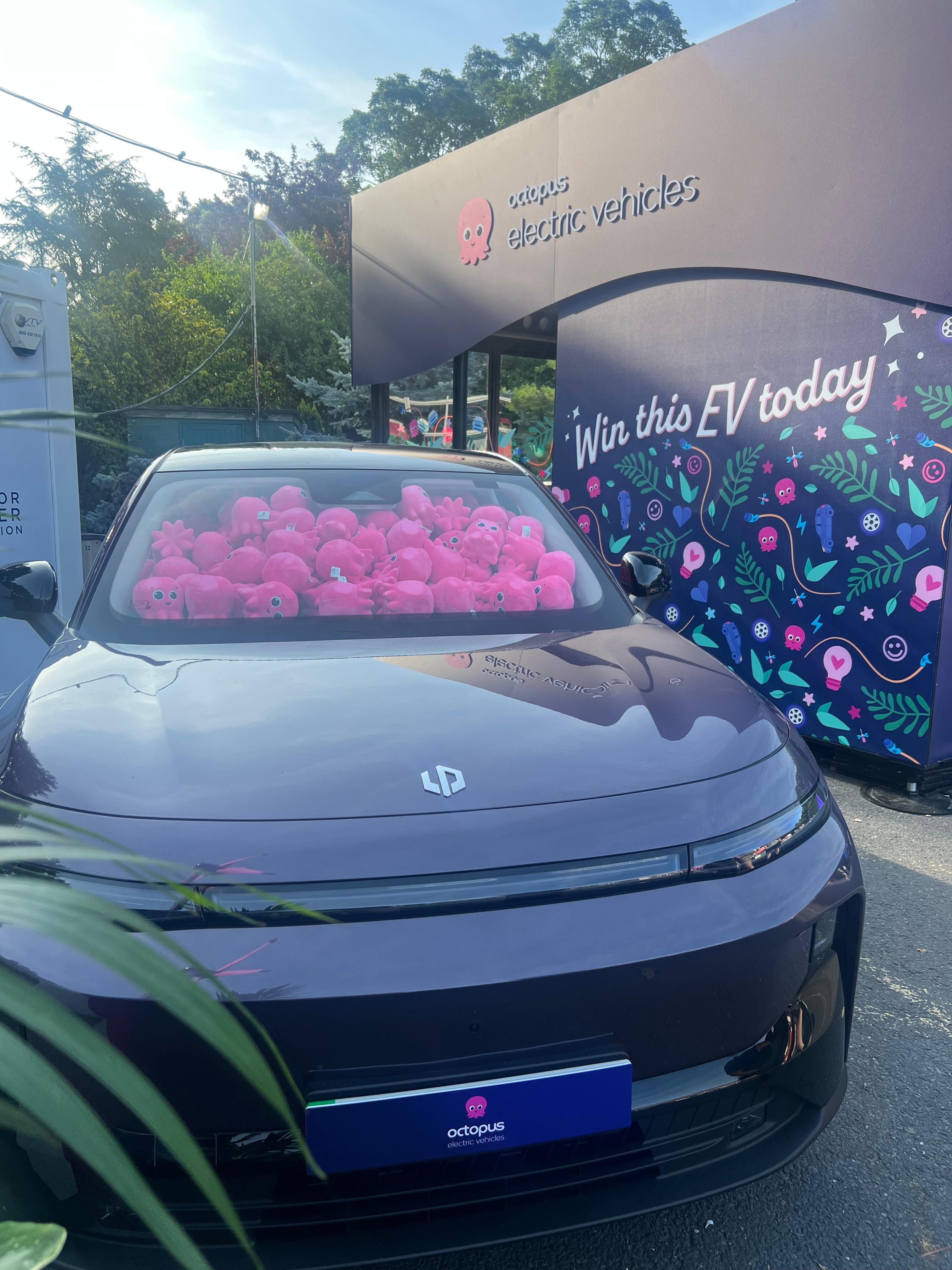 A car full of mini octopuses
