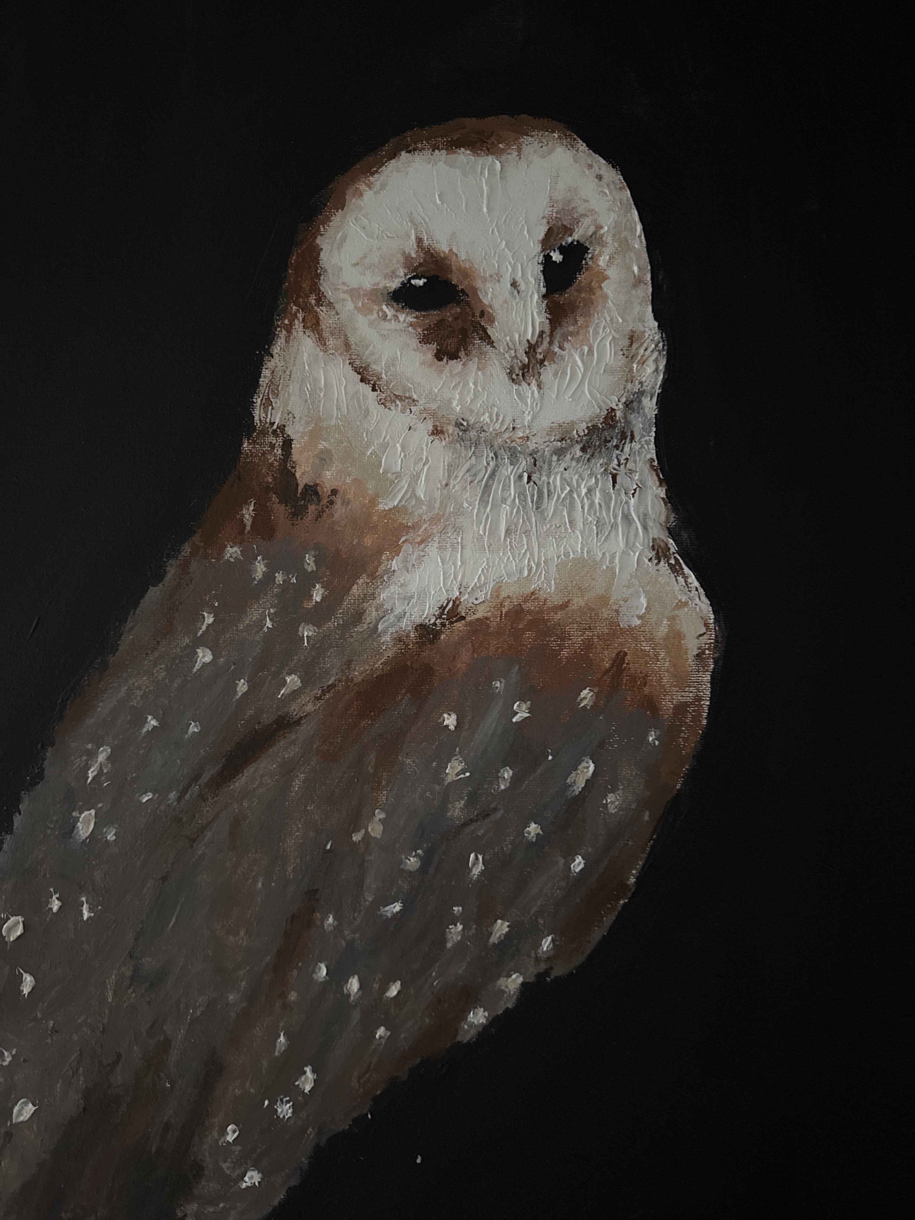 A painting of a barn owl with white and brown feathers against a dark background, showcasing textured brushstrokes and detailed features.