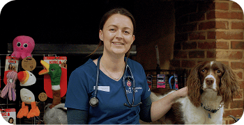 A veterinarian in a blue scrub top smiles while petting a brown and white dog. Various pet toys are displayed in the background.