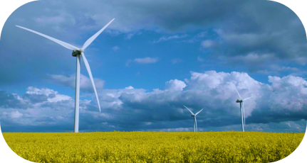 Wind turbines in a yellow flower meadow under a partly cloudy sky.
