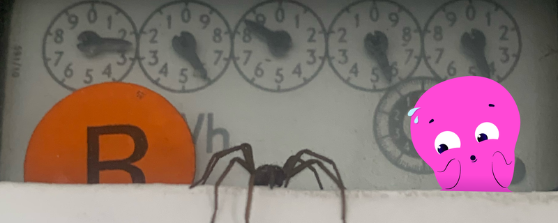 Meter Spider