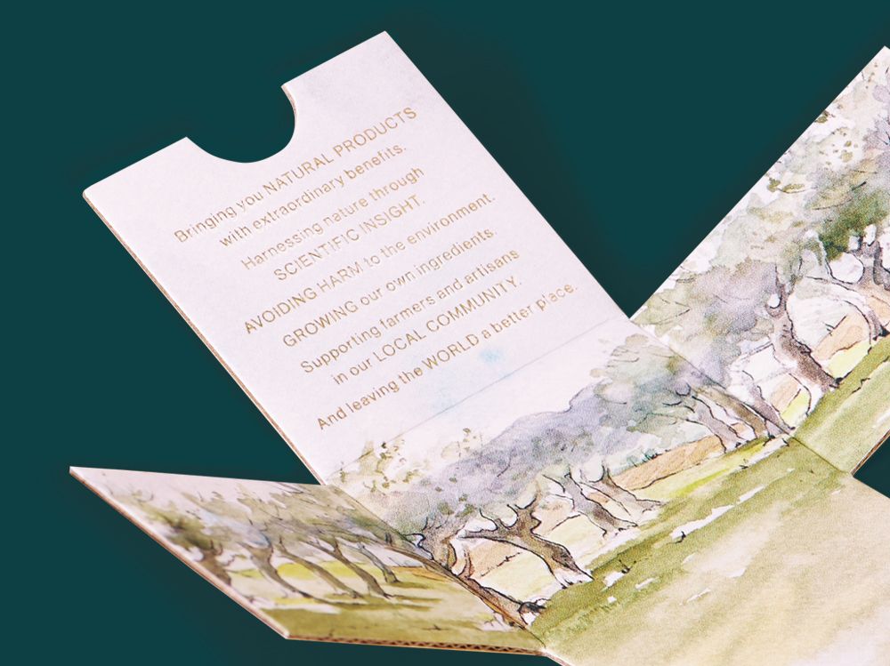 Interior of Irene Forte Skincare secondary packaging, showcasing illustrated design and premium materials for an enhanced unboxing experience