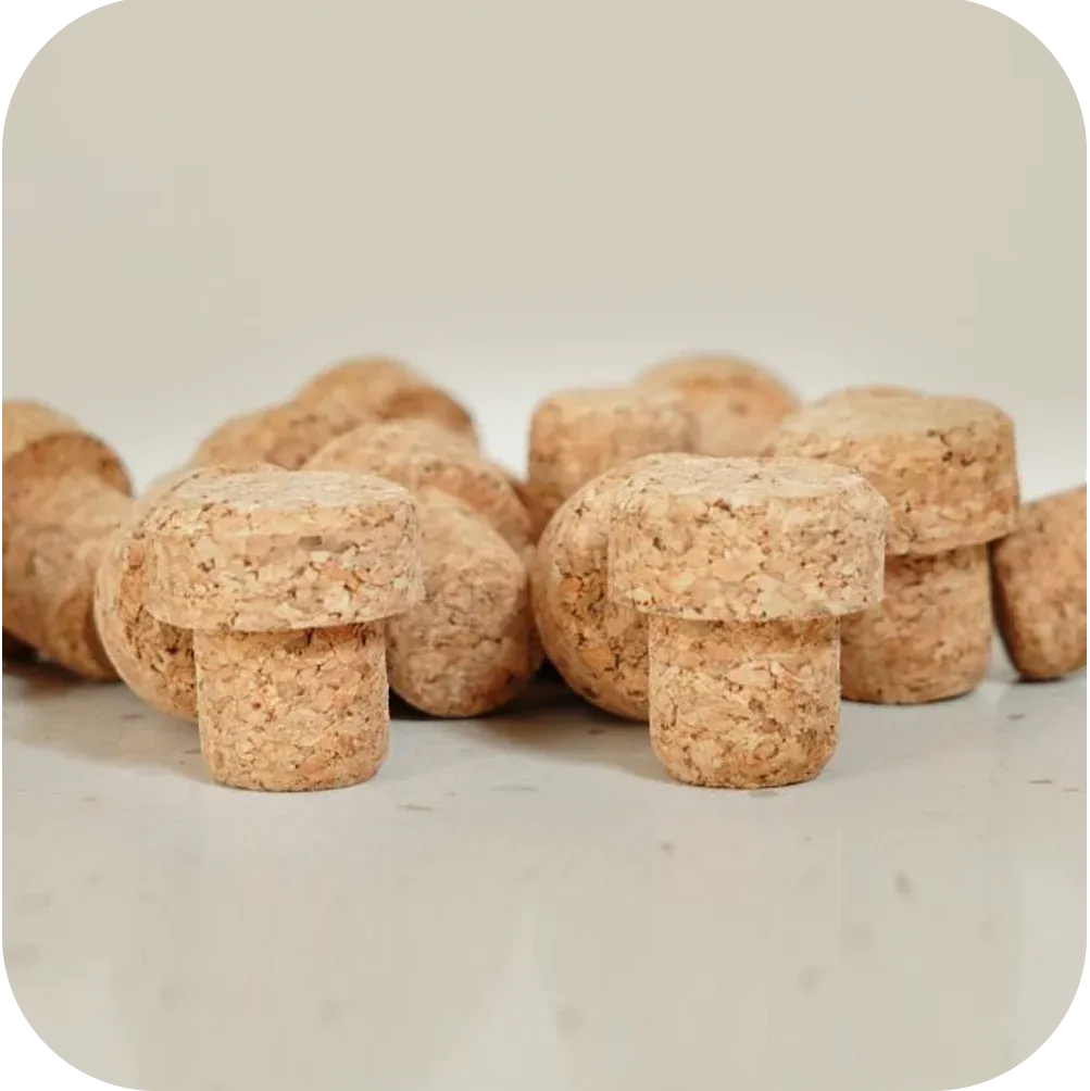 bp_gr_T-SHAPE CORK_v2