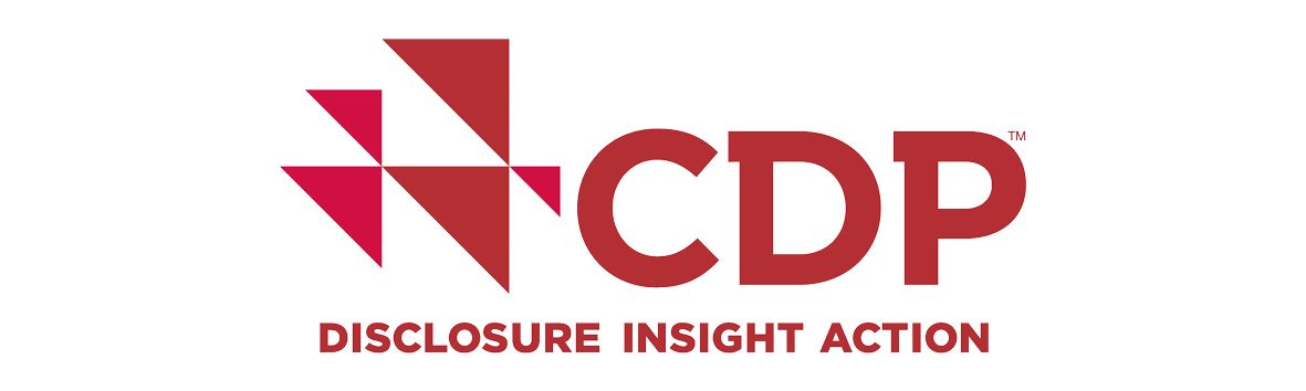 CDP logo in red with tagline “Disclosure Insight Action” on a white background.