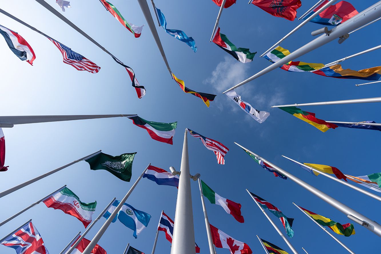 International flags on tall poles waving against a blue sky.