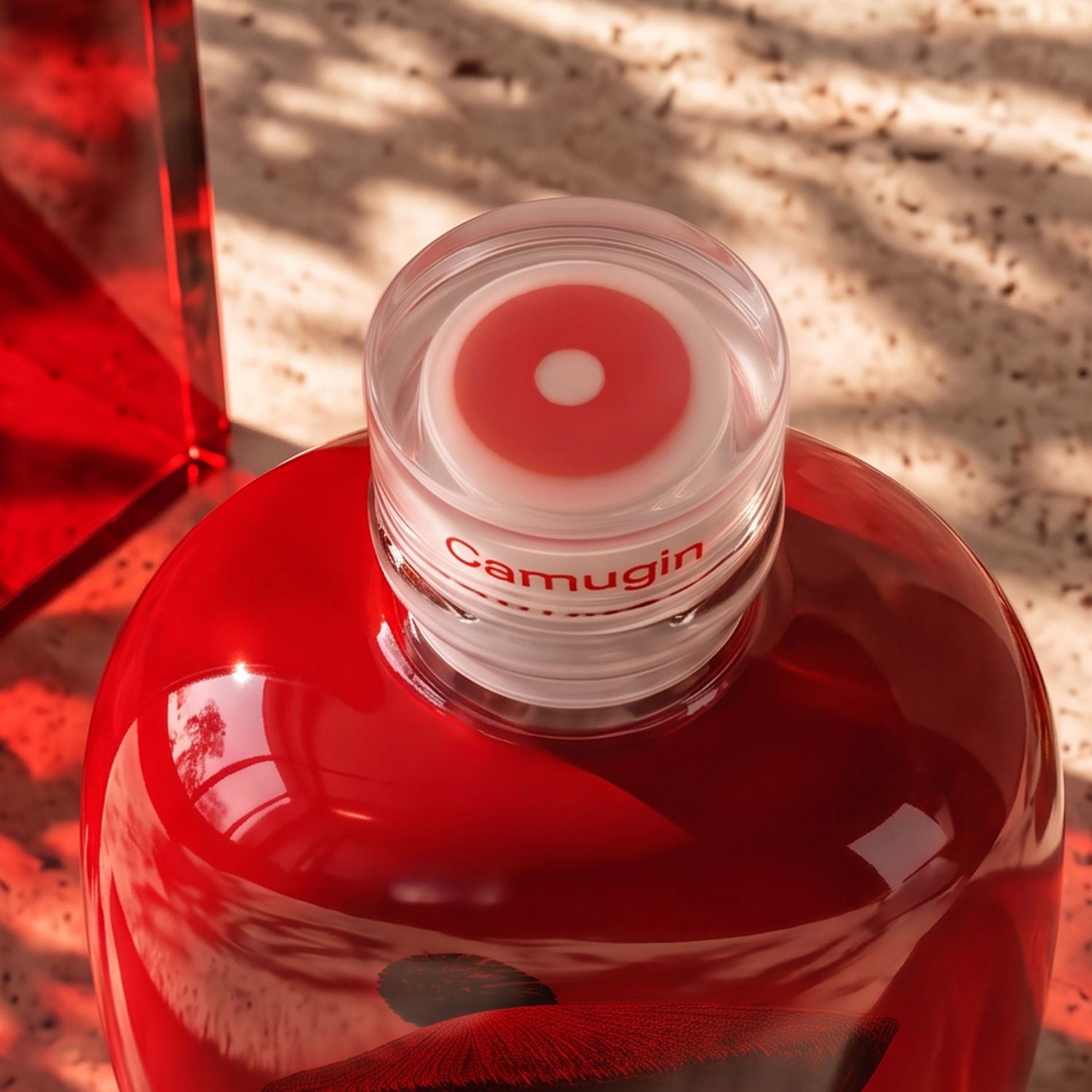 Stone bottle by Berlin Packaging for Camugin with a clear cap, sunlight creating shadows on a textured surface.