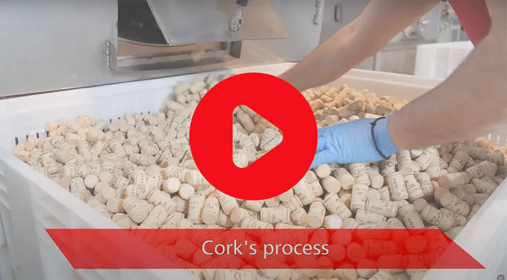 bp_gr_cork_video_preview