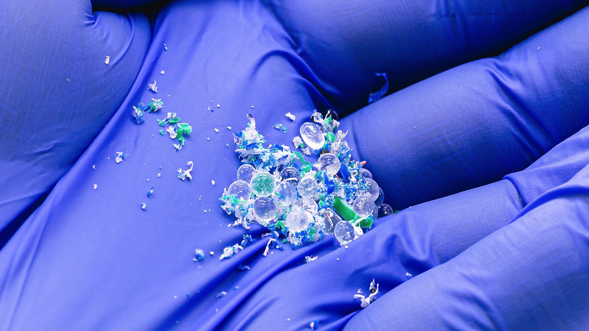 Blue gloved hand holding a pile of variously colored plastic microbeads and fragments.