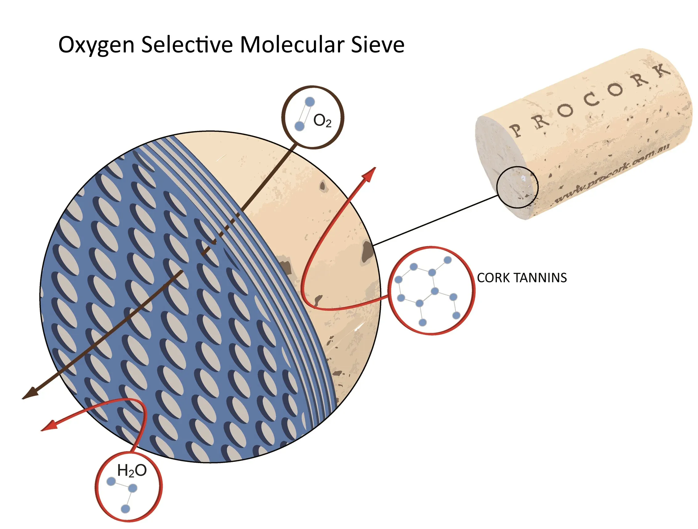 pb_gr_cork_ProCork Sieve & Cork Diagram Detail v7