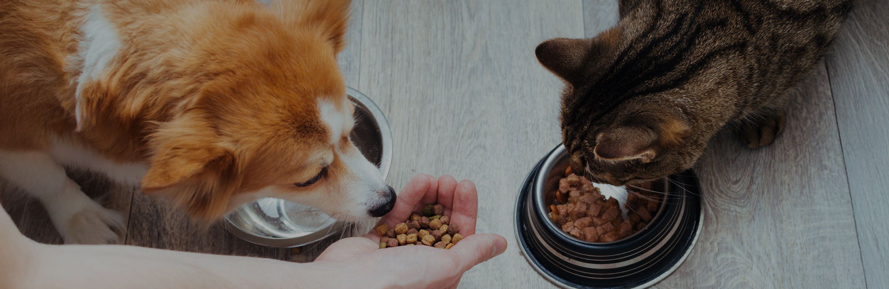 Header Dry Pet Food