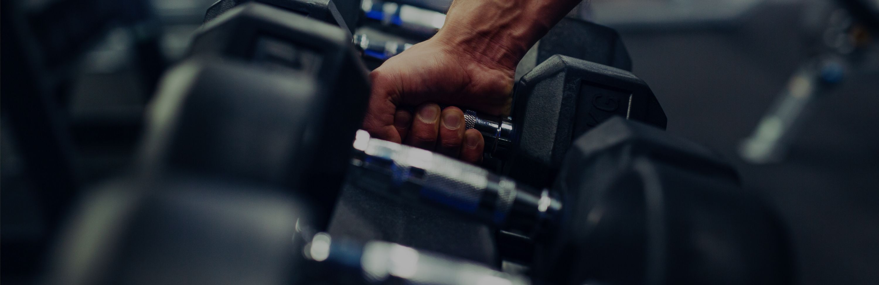 Header Sport Nutrition