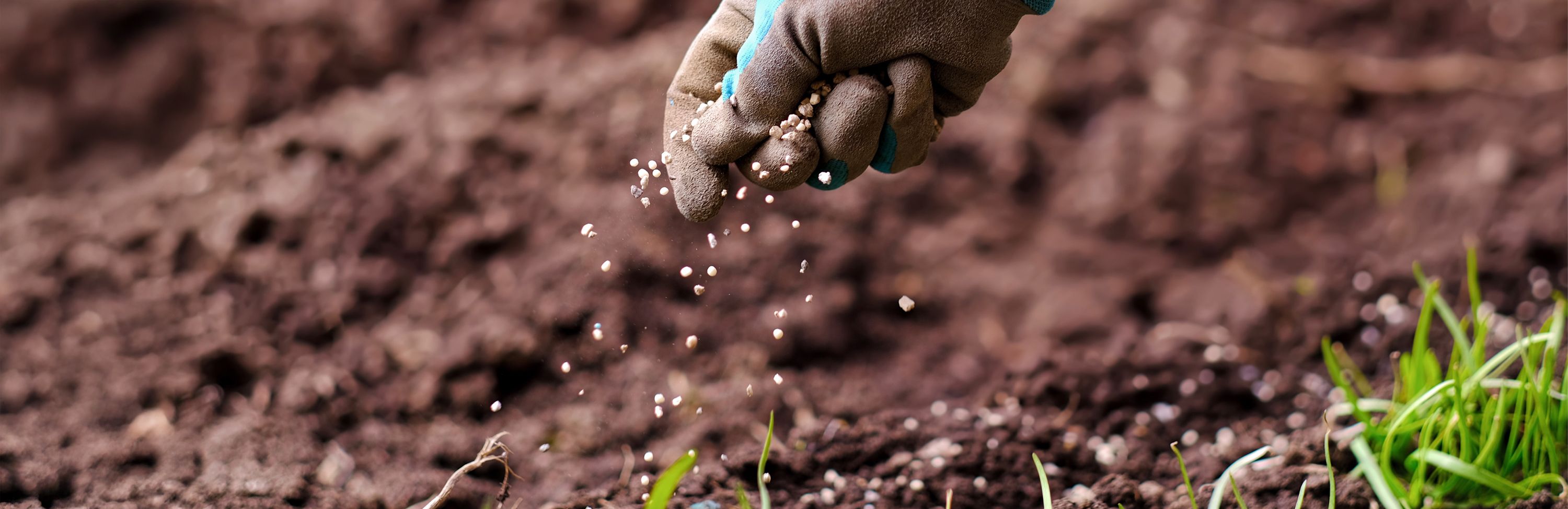 Header Seeds and Plant Foods