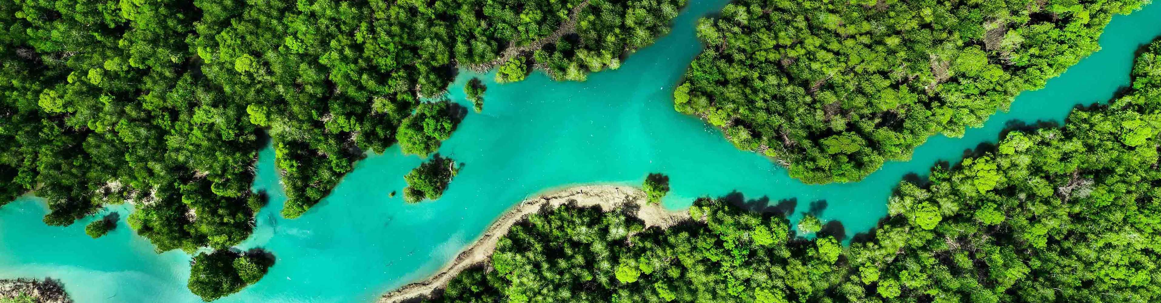 Aerial view of vibrant turquoise river meandering through lush green forest, creating a striking natural contrast.