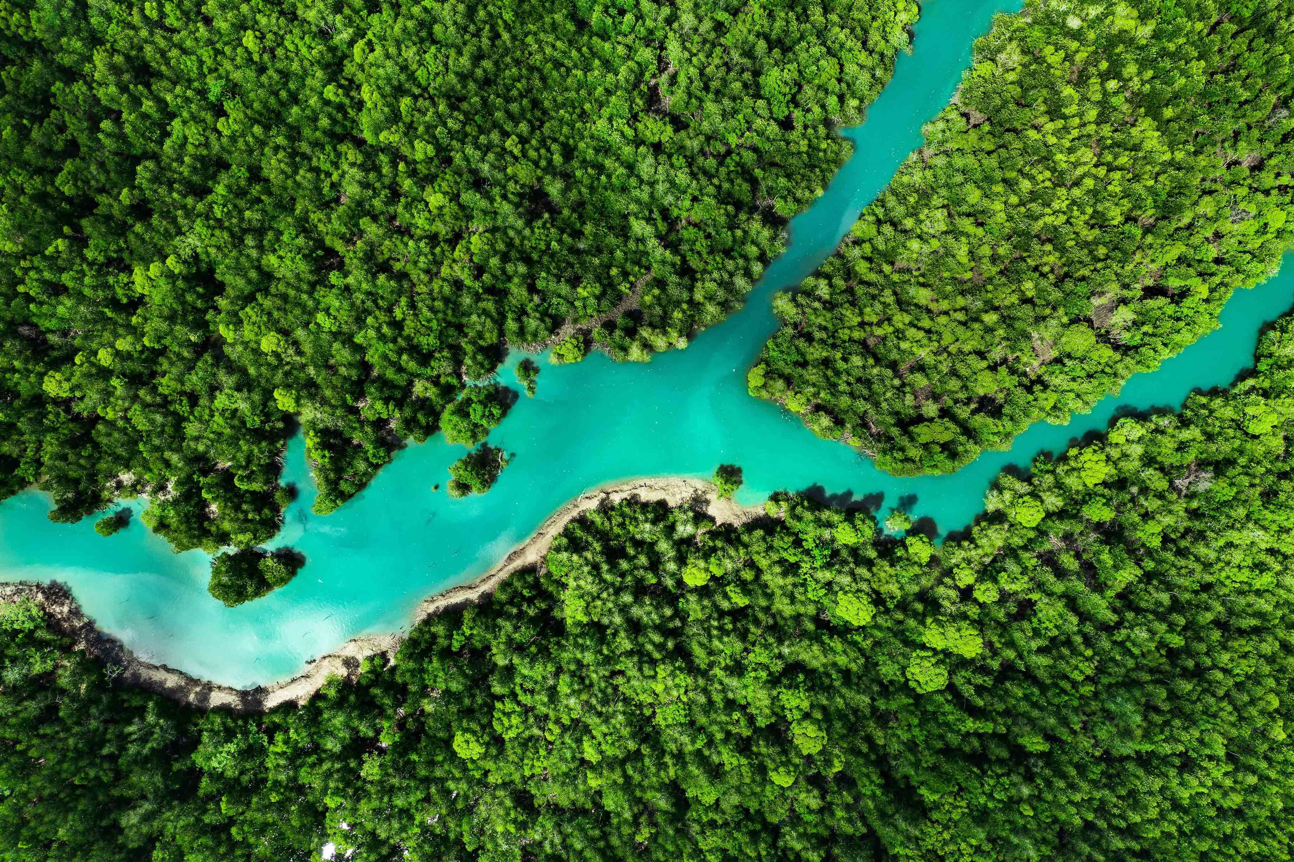 Sustainable procurement image Aerial view of a lush green forest with a winding turquoise river, representing the natural beauty protected through sustainable procurement practices