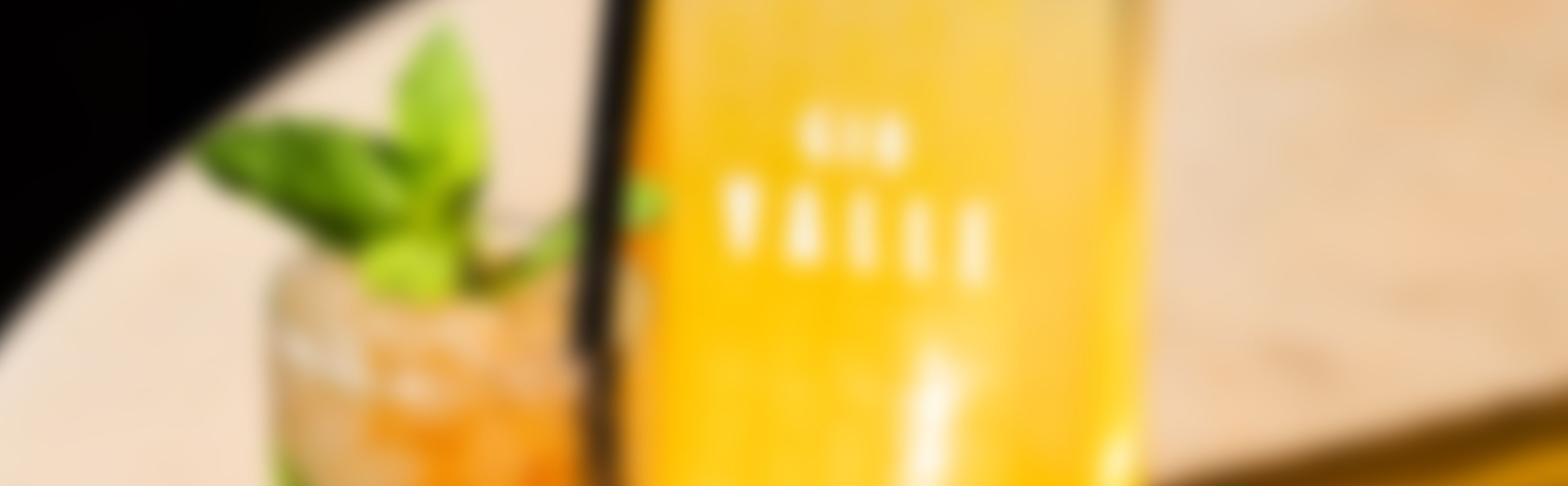 bp_em_spirits_success-stories_gin-valle_banner