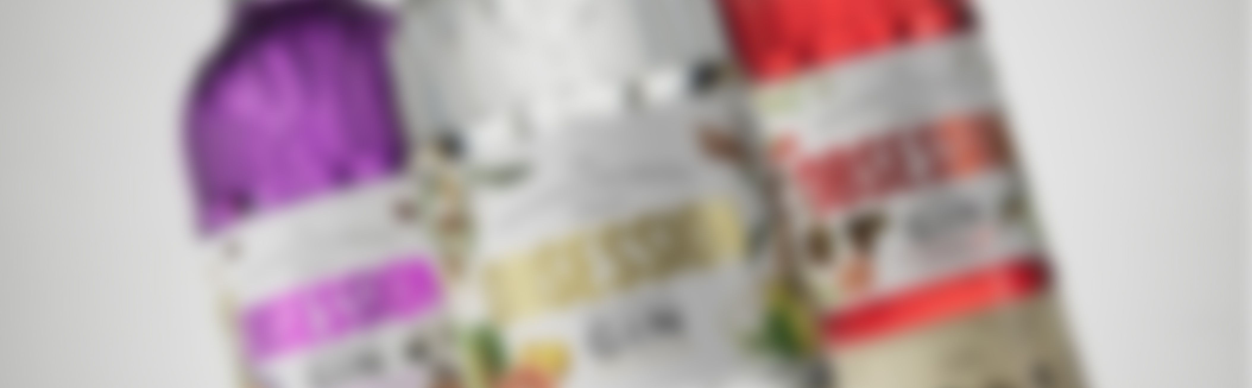 Obsession Gin success story by Berlin Packaging featuring three premium gin bottles in vibrant colors: purple, silver, and red. Each bottle showcases detailed botanical illustrations and bold metallic labels, highlighting a distinctive and creative packaging design for the spirits market.