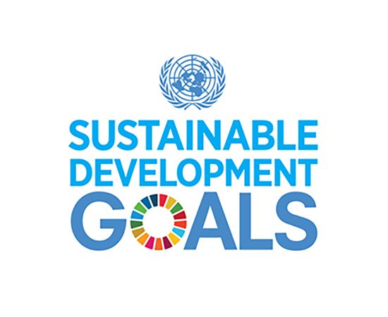 UN logo above the text "Sustainable Development Goals," with "GOALS" featuring a colorful circular design.
