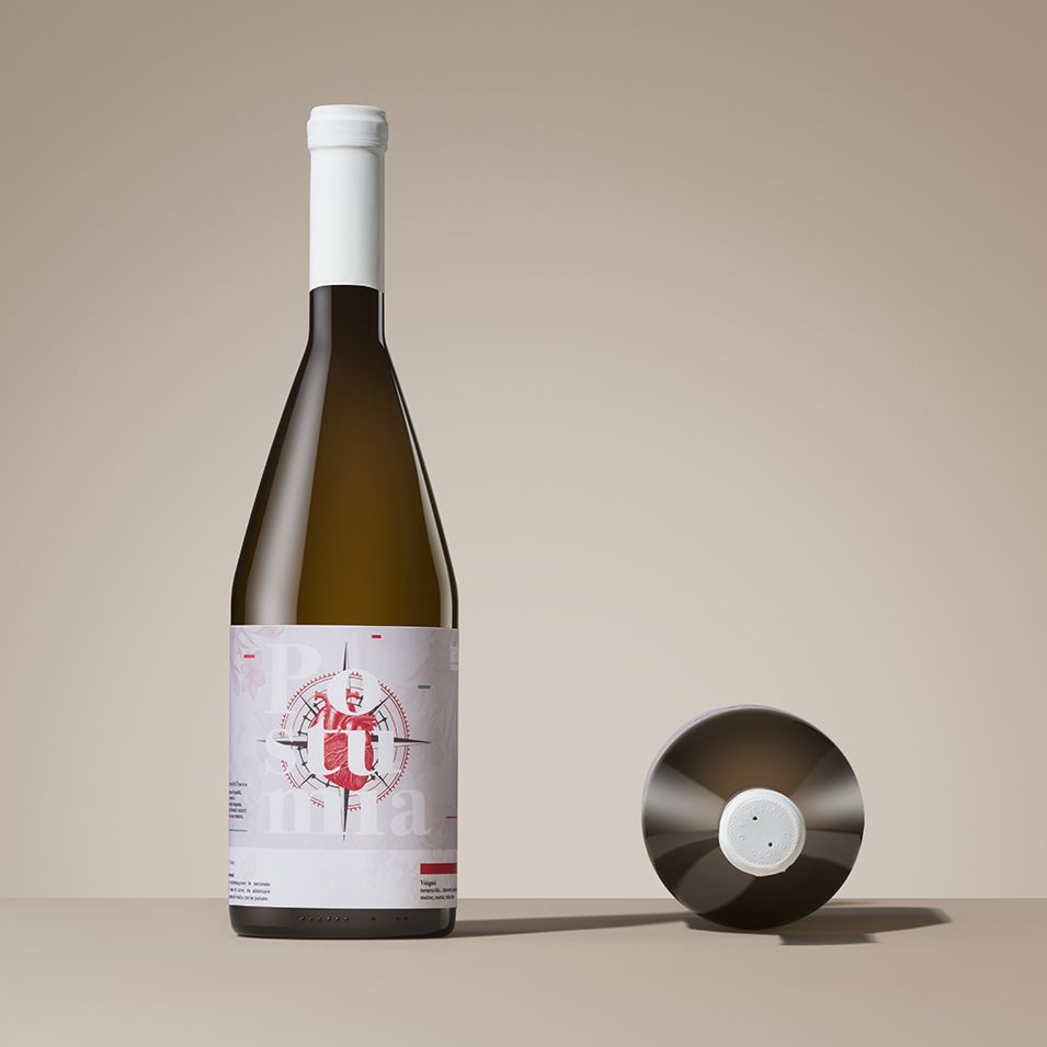 A wine bottle stands upright with a white cap and artistic label, next to a side view of the bottle cap on a neutral surface.