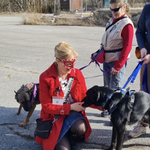 Hundekrimi zu Fasching - Schnüffelnase und Maskenball