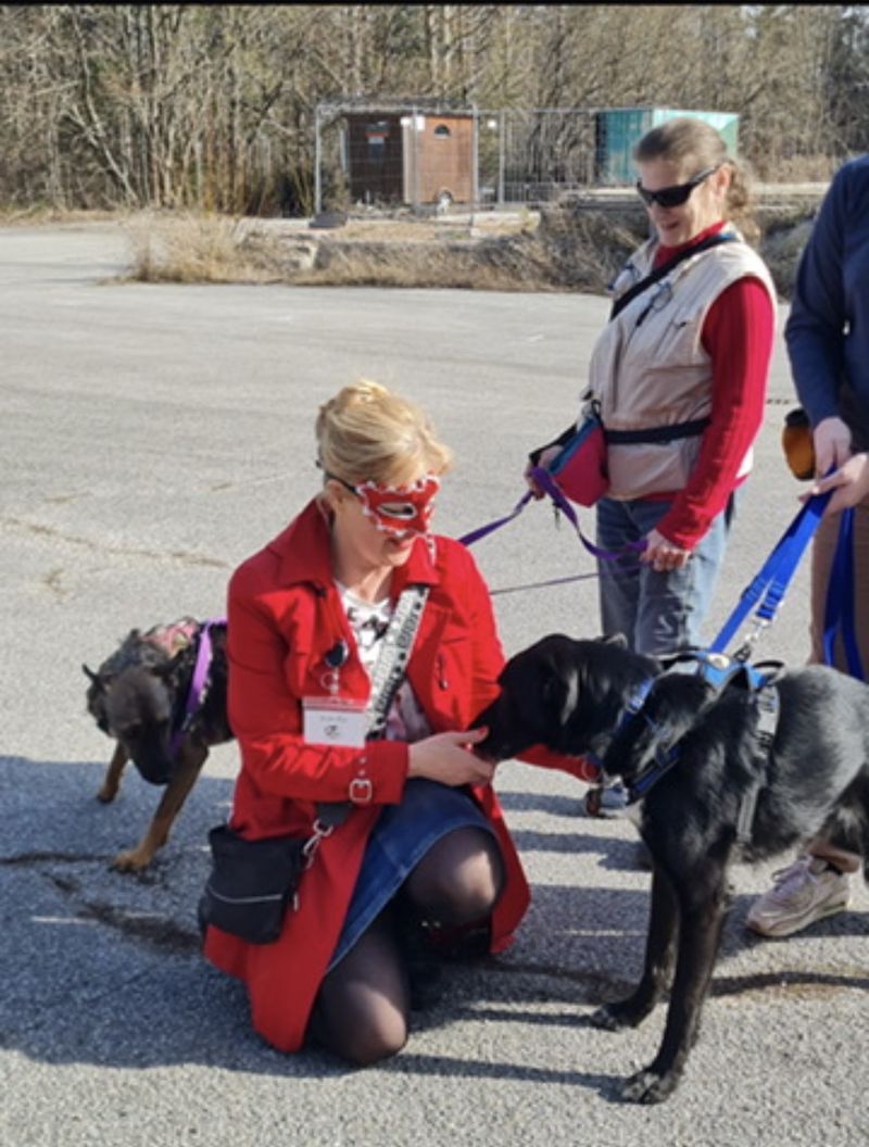 Hundekrimi zu Fasching - Schnüffelnase und Maskenball