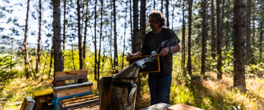Imker mit Smoker bei den Bienenstöcken im Wald des Lebensbogen Grünbach am Schneeberg