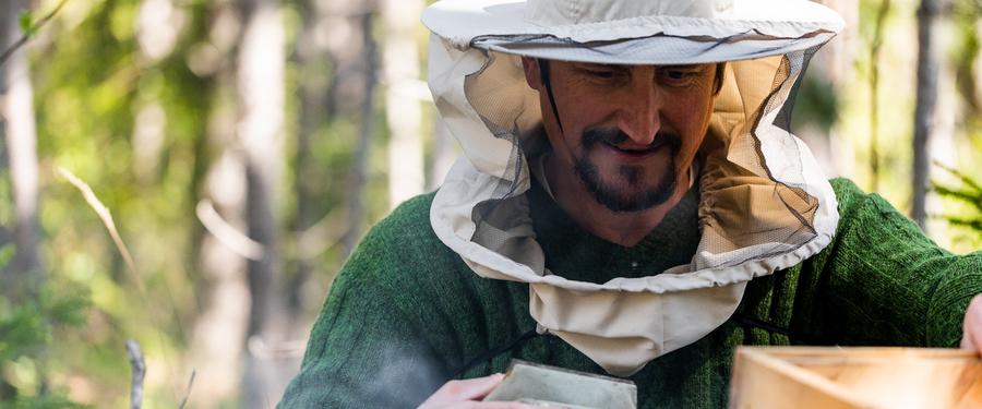 Imker mit Schleierhut und Smoker arbeitet an den Bienenstöcken im Wald des Lebensbogen