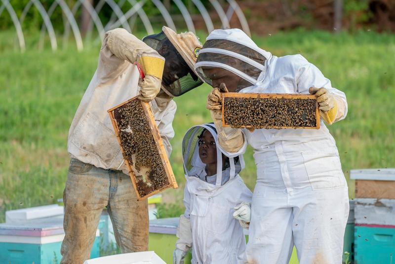 Imker:innen mit Schutzanzug zeigen einer Schülerin Bienenwaben beim Imker-Workshop des Lebensbogen