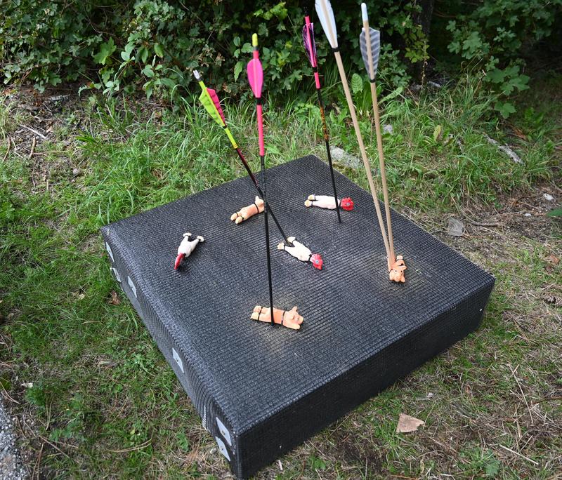 Pfeile in einer 3D-Zielscheibe beim Bogenschießen am Lebensbogen in Grünbach am Schneeberg