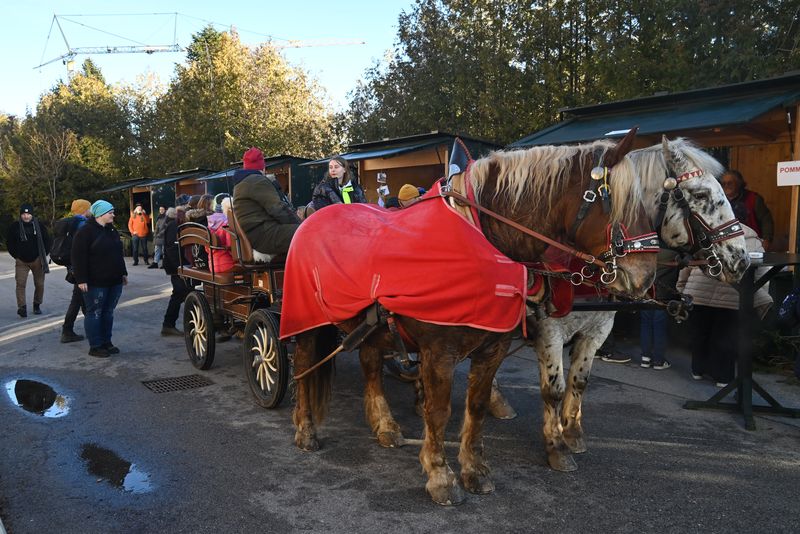 <img src="" alt=„Weihnachtsbazar Lebensbogen 2025“>