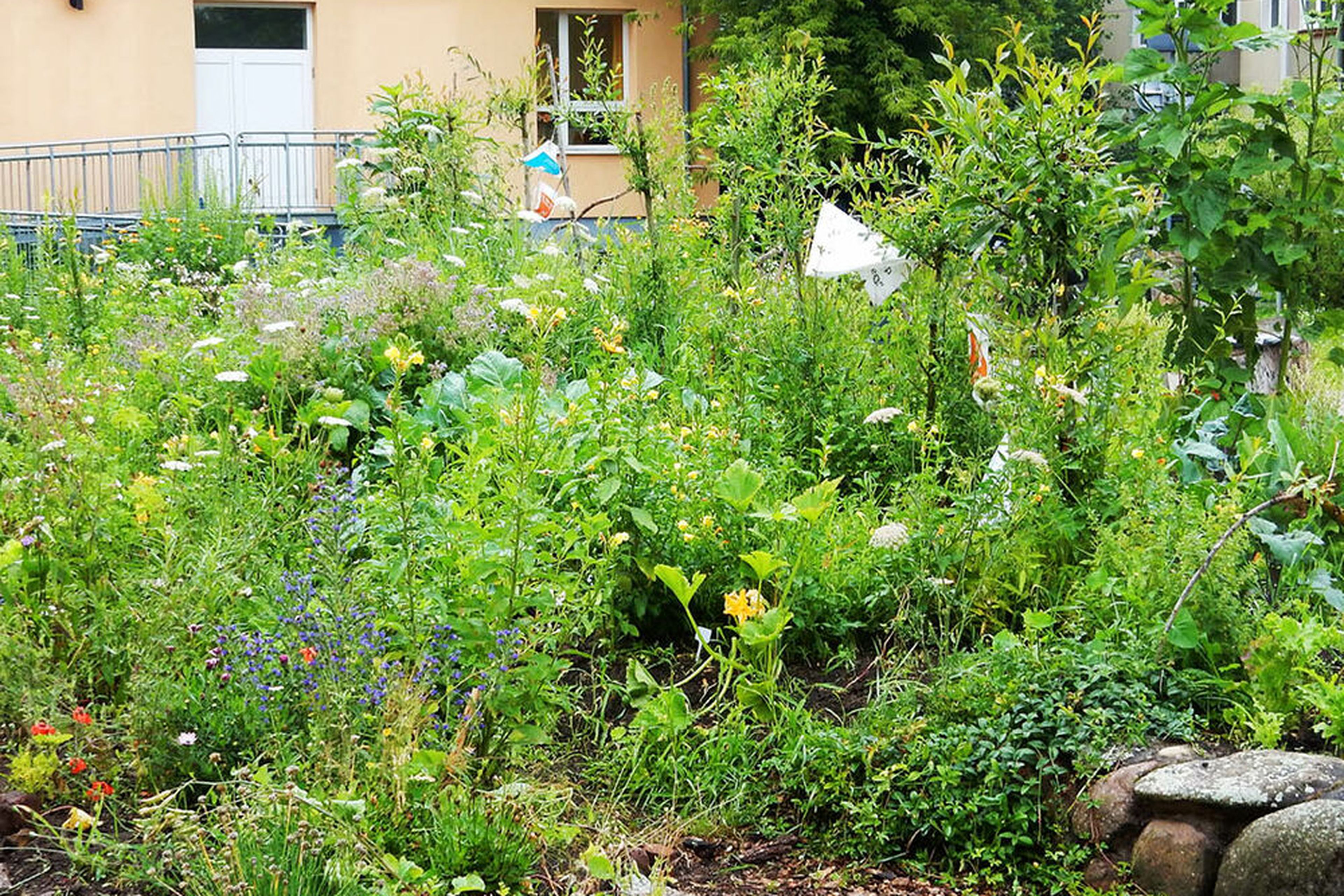 ein Beet vor einem Haus