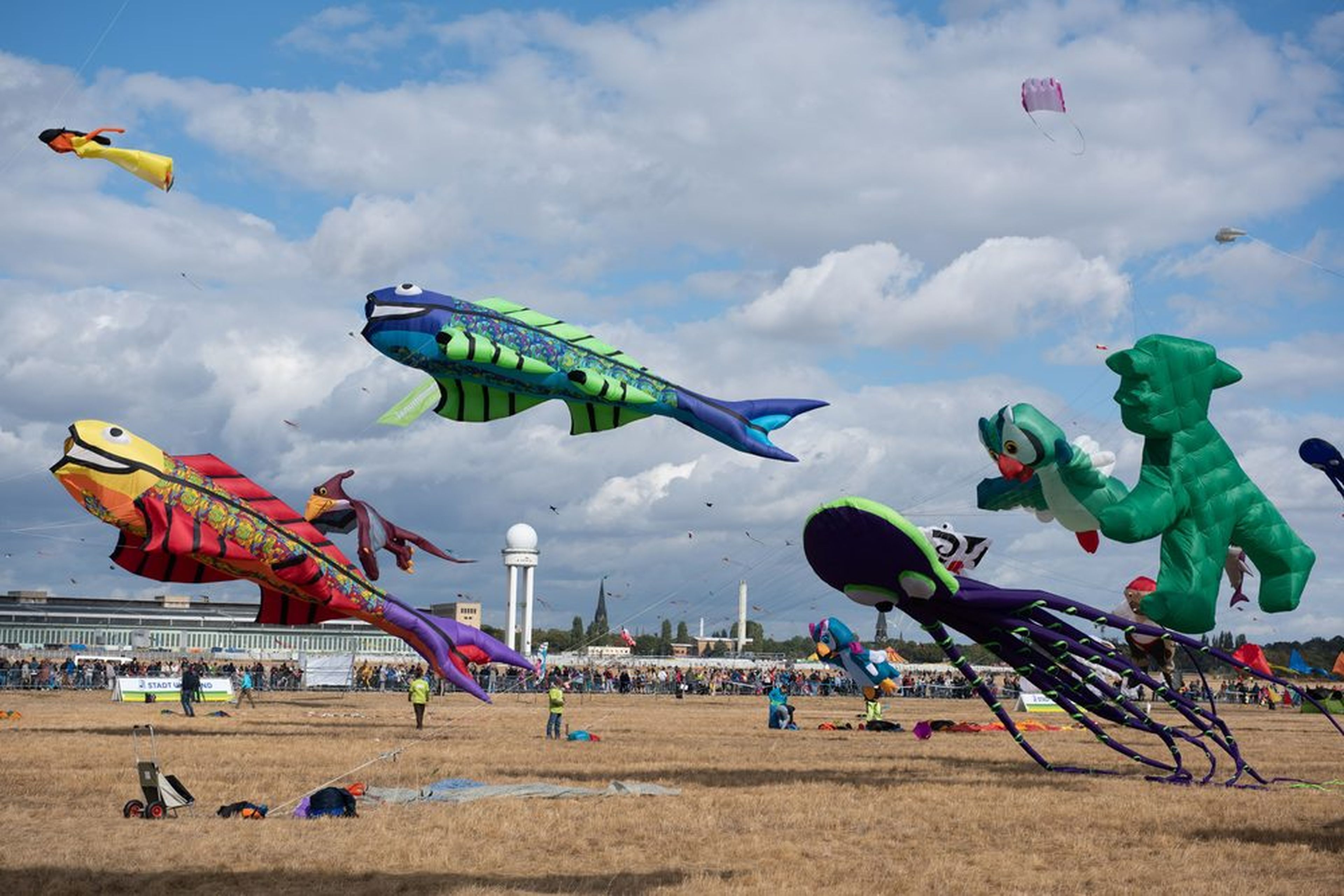 Der Himmel über dem Tempelhofer Feld hängt am 21. September voller Drachen