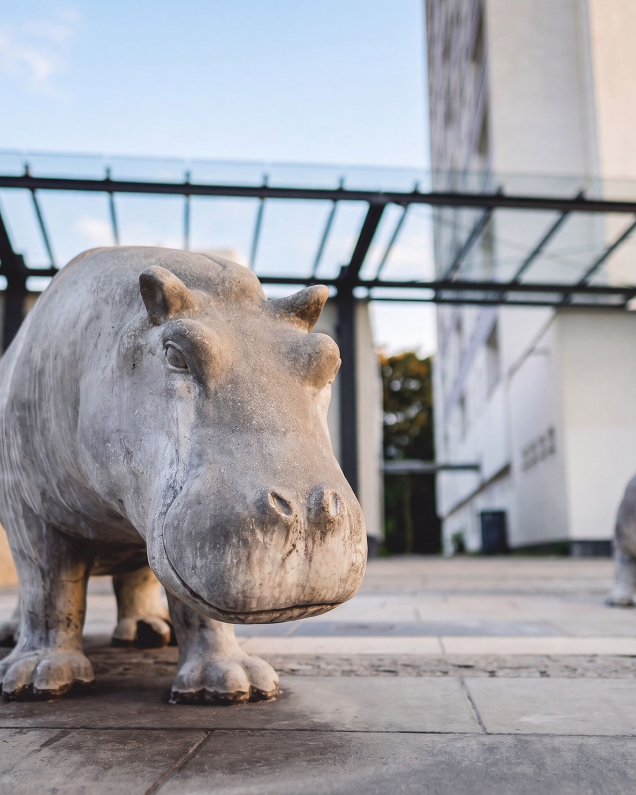 A stone statue of a hippopotamus stands on a paved patio area, with a modern building and clear sky in the background.